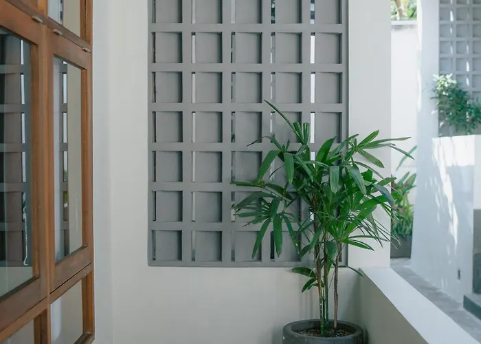 招待所 Sadira Co-living - Seminyak 科洛布坎